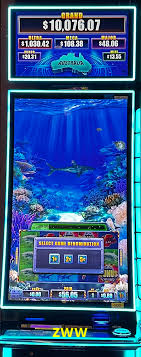 Explore as vantagens do zww: serviço profissional e confiabilidade